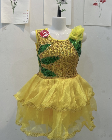 Đầm bồng 39 - SL 17